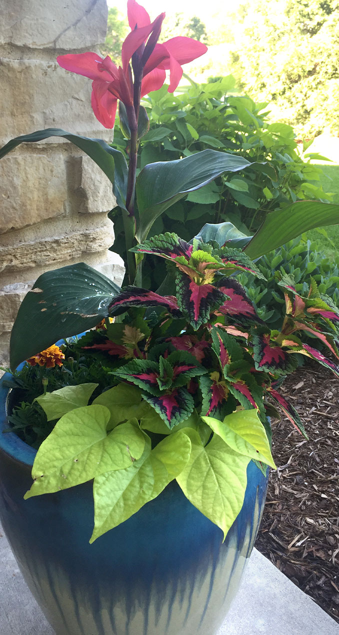 Seasonal Container Garden Sussex | Flowerpot Planting Menomonee Falls